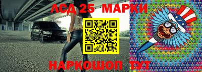 гашик Дмитров