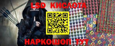 гашик Дмитров