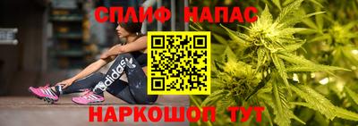 гашик Дмитров