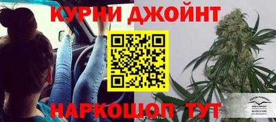 гашик Дмитров