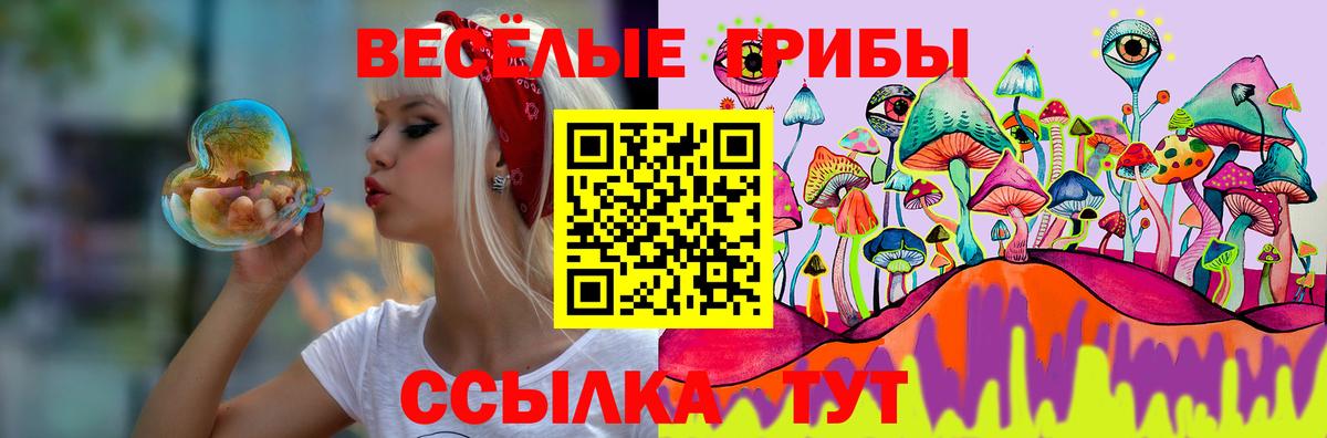 Дмитров  Псилоцибиновые грибы MAGIC MUSHROOMS  Вход с VPN 